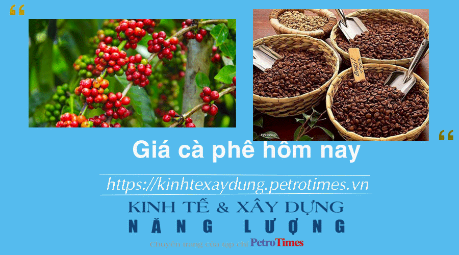 Giá cà phê hôm nay 10/12: Điều chỉnh giảm nhẹ