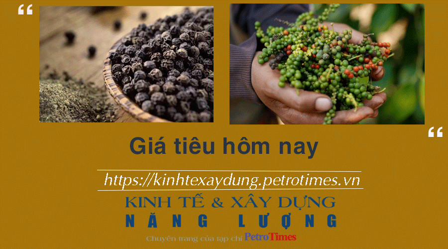 Giá tiêu hôm nay 10/12: Duy trì đà tăng