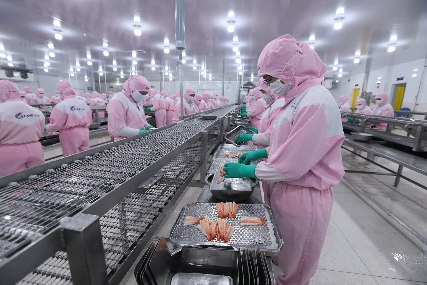 Thủy sản nâng sức cạnh tranh Thủy sản nâng sức cạnh tranh