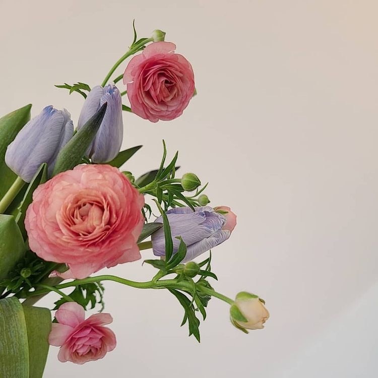 Tử vi 12 con giáp ngày 18/12/2023: Tuổi Tý tình cảm bất lợi, tuổi Ngọ đào hoa nở rộ