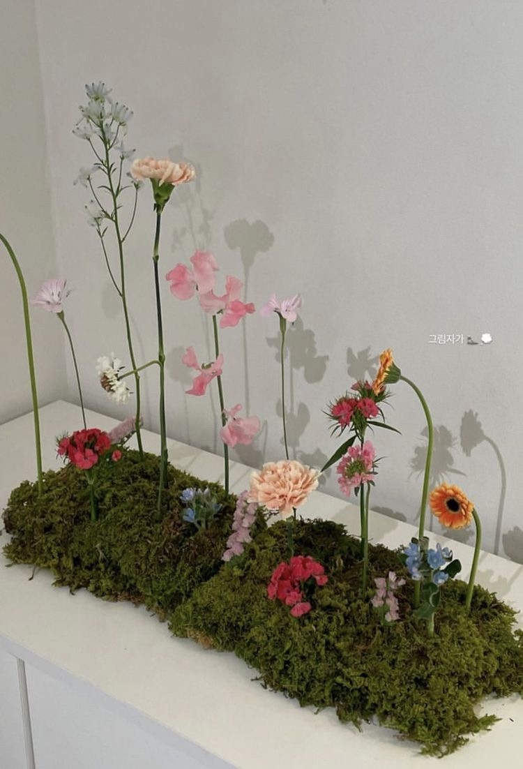 Tử vi 12 con giáp ngày 31/12/2023: Tuổi Hợi mâu thuẫn, tuổi Dậu có tin vui