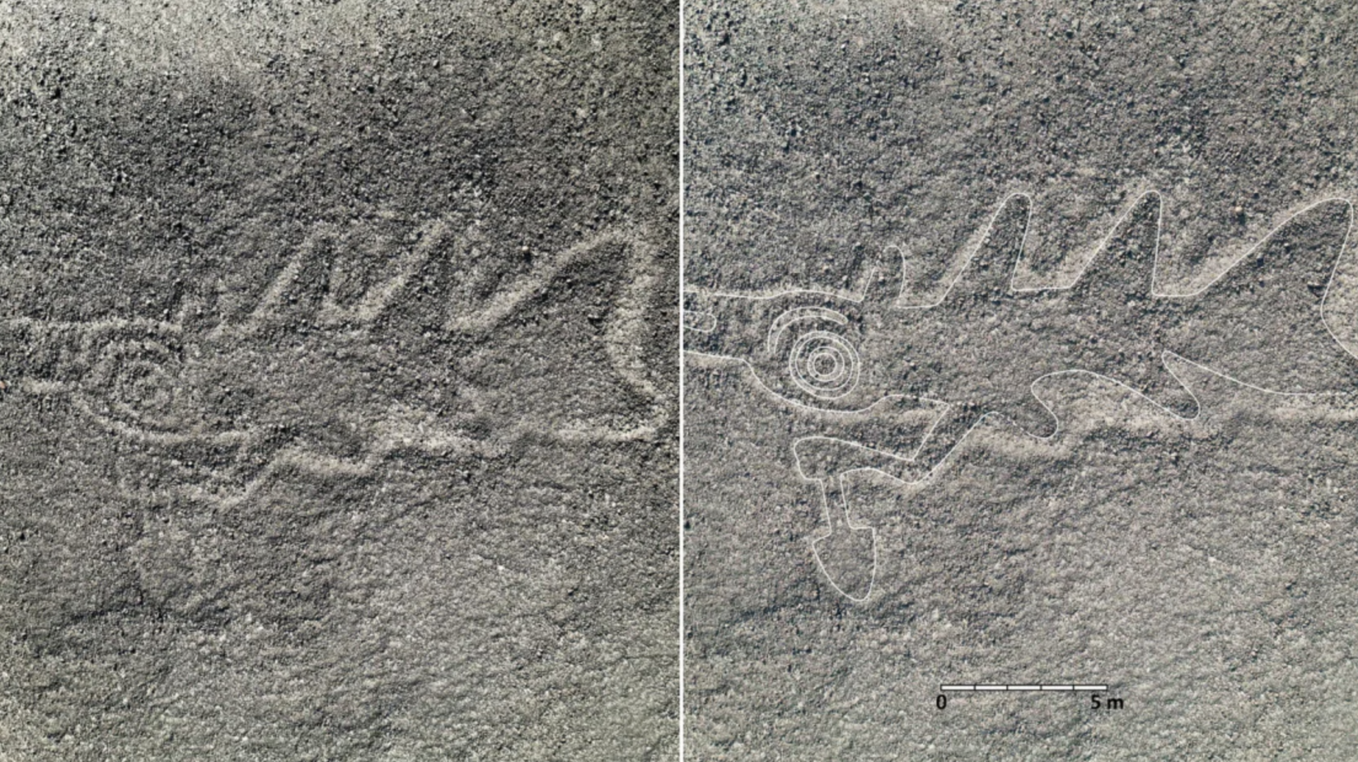 Những khám phá khoa học nổi bật nhờ AI năm 2024