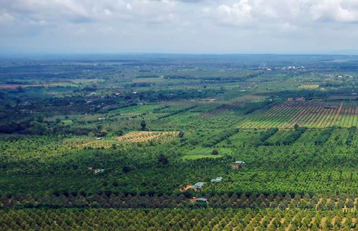 Thị trường carbon: Công cụ chuyển đổi mô hình tăng trưởng phát thải thấp