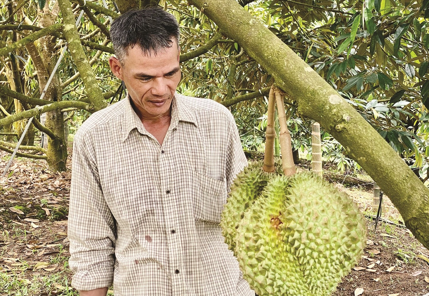 Gặp những người nông dân vượt khó làm giàu