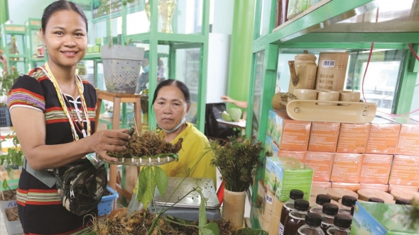 Gặp những người nông dân vượt khó làm giàu