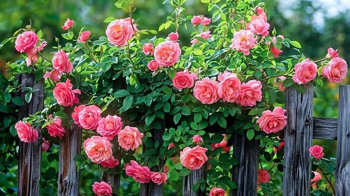 Tử vi vòng quay công nghệ ngày 4/12/2025: Tuổi Dậu phát huy thế mạnh, tuổi Tý bị kẻ xấu hãm hại