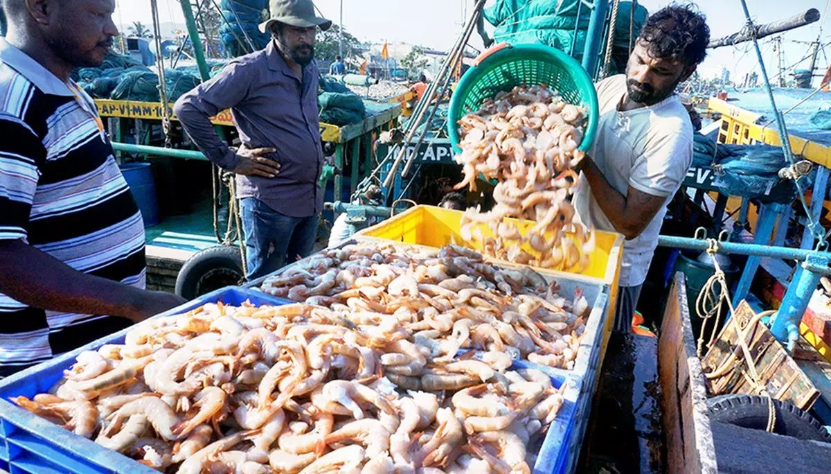 Indonesia nối lại xuất khẩu tôm sang thị trường Mỹ