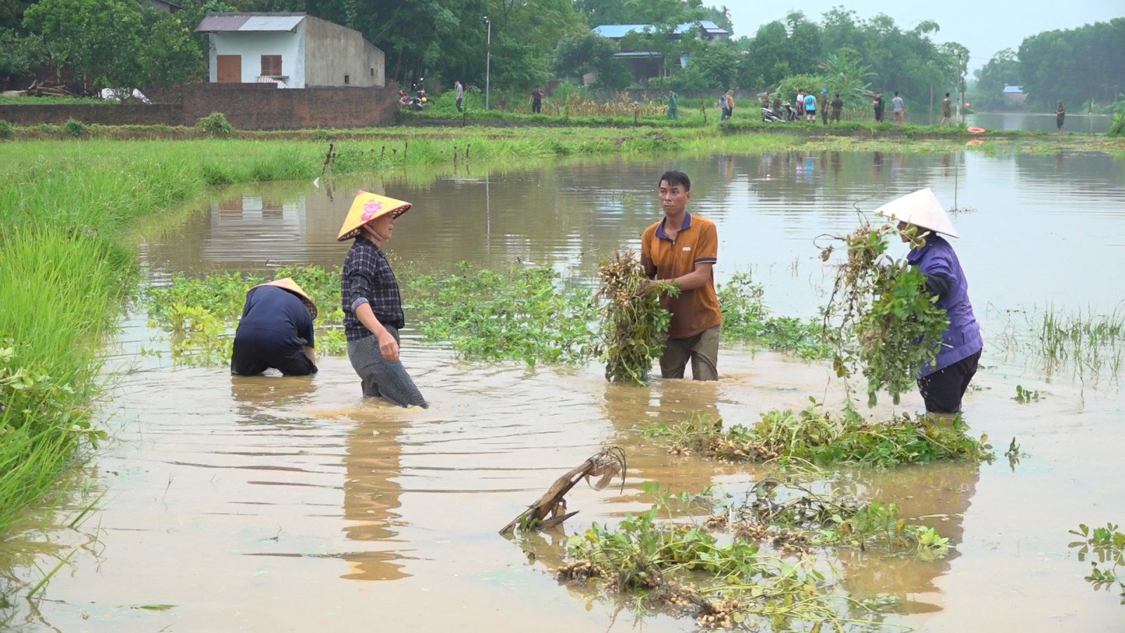 Ngành nông nghiệp Điện Biên chủ động thích ứng biến đổi khí hậu