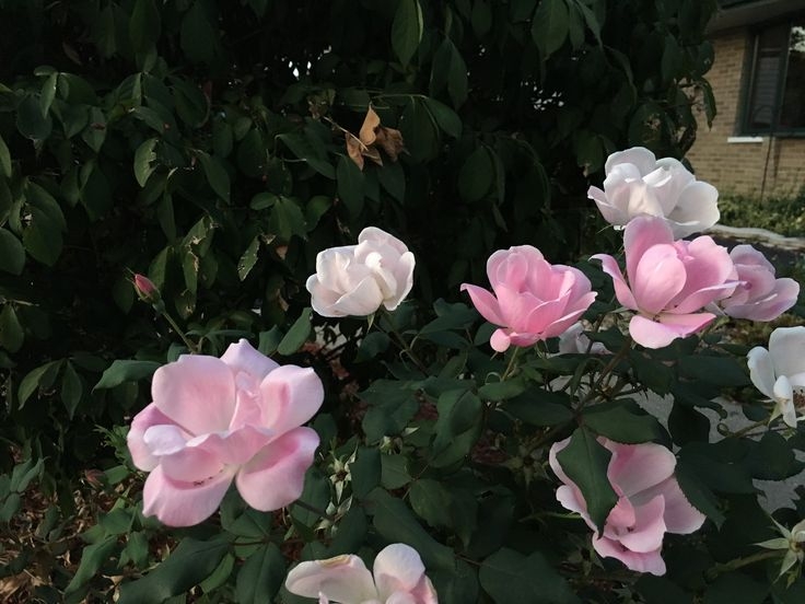 Tử vi vòng quay công nghệ ngày 8/12/2025: Tuổi Dần sự nghiệp thăng hoa, tuổi Hợi đề phòng kẻ xấu Tử vi vòng quay công nghệ ngày 8/12/2025: Tuổi Dần sự nghiệp thăng hoa, tuổi Hợi đề phòng kẻ xấu