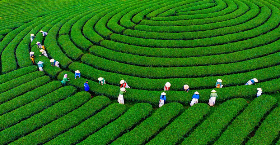 Việt Nam giành 16 giải thưởng hàng đầu thế giới tại World Travel Awards 2025 Việt Nam giành 16 giải thưởng hàng đầu thế giới tại World Travel Awards 2025