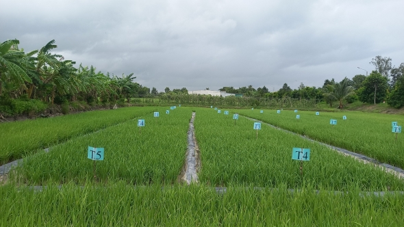 Tây Ninh: Tích cực chuyển đổi xanh, nâng cao khả năng thích ứng biến đổi khí hậu