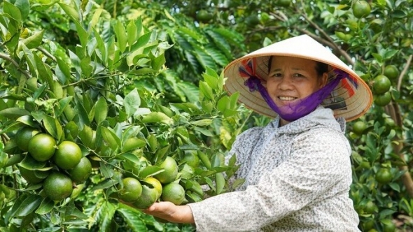 Phú Thọ: Phát triển chuỗi cung cấp thực phẩm nông lâm thủy sản an toàn