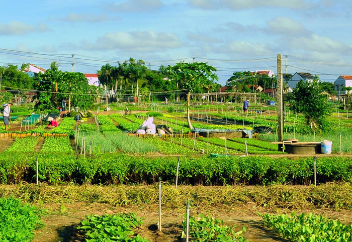 Khẩn trương phục hồi sản xuất kinh doanh, đẩy mạnh tiêu dùng dịp Tết