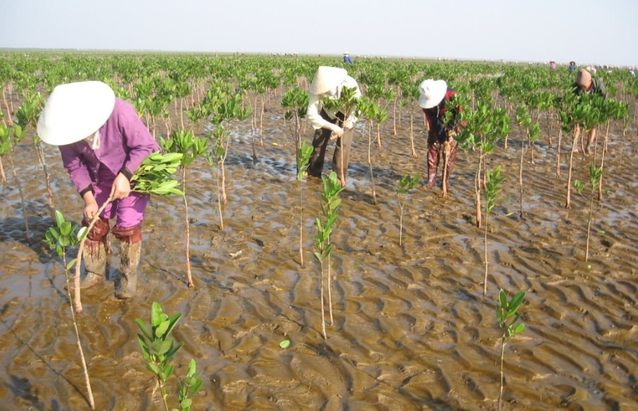 Huế: Chủ động ứng phó biến đổi khí hậu trong phát triển đô thị Huế: Chủ động ứng phó biến đổi khí hậu trong phát triển đô thị