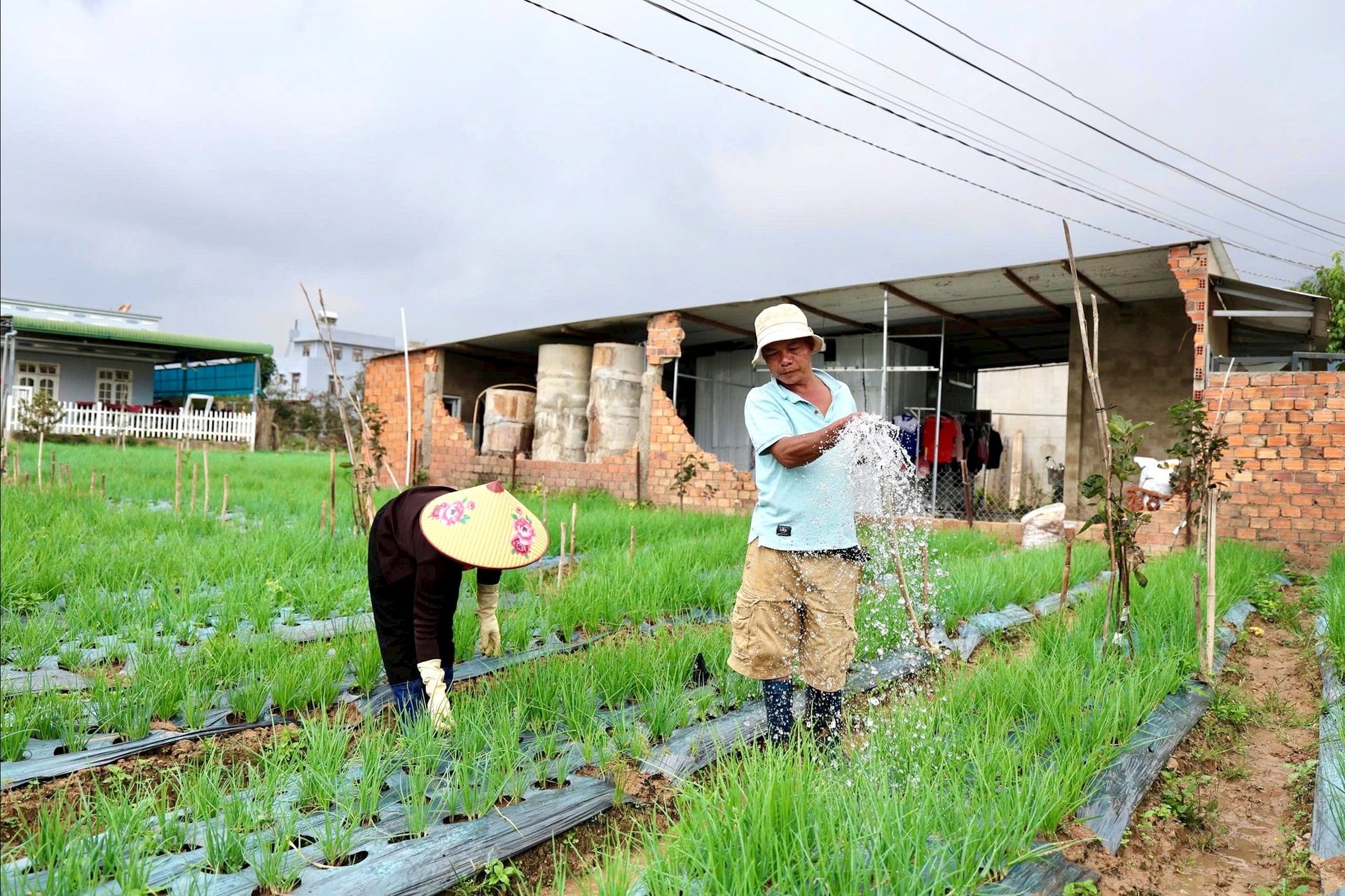 Kịp thời hỗ trợ vốn đầu tư khôi phục sản xuất