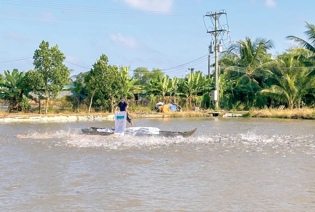 Cần Thơ phát triển hệ thống quan trắc, cảnh báo ô nhiễm trong nuôi trồng thủy sản Cần Thơ phát triển hệ thống quan trắc, cảnh báo ô nhiễm trong nuôi trồng thủy sản