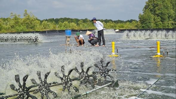 Cần Thơ phát triển hệ thống quan trắc, cảnh báo ô nhiễm trong nuôi trồng thủy sản