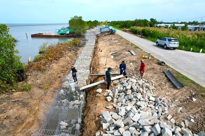 Sạt lở bờ biển làm suy giảm diện tích đất, rừng phòng hộ ven biển Sạt lở bờ biển làm suy giảm diện tích đất, rừng phòng hộ ven biển