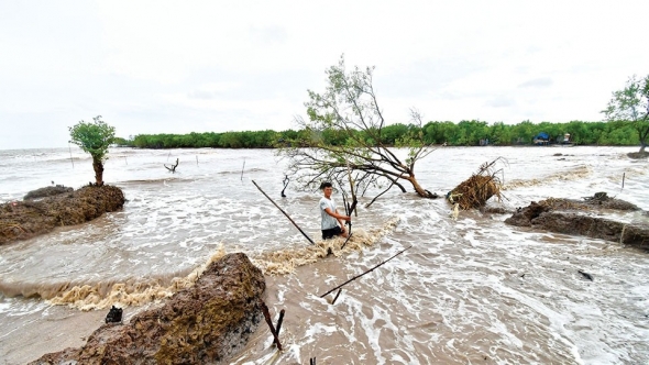 Sạt lở bờ biển làm suy giảm diện tích đất, rừng phòng hộ ven biển