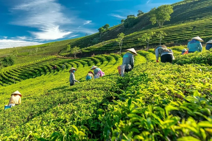 Khơi thông nguồn lực cho chuyển đổi xanh