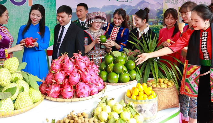 Nhiều kỳ vọng từ Festival OCOP 2025