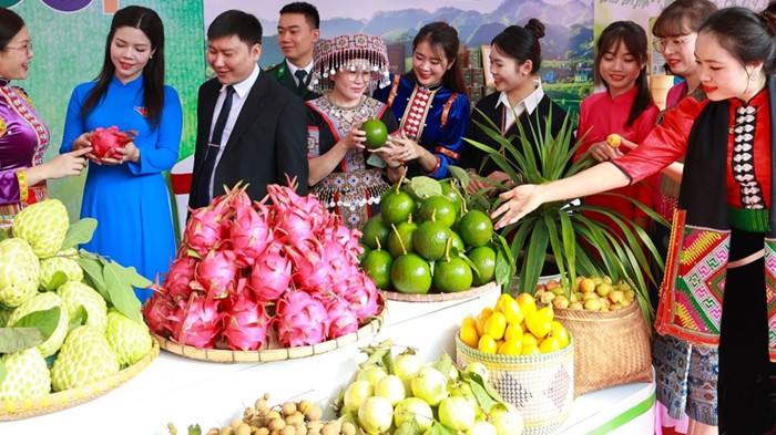 Nhiều kỳ vọng từ Festival OCOP 2025