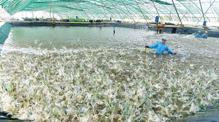 Cà Mau thúc đẩy sản xuất, mở rộng thị trường tiêu thụ hàng hóa