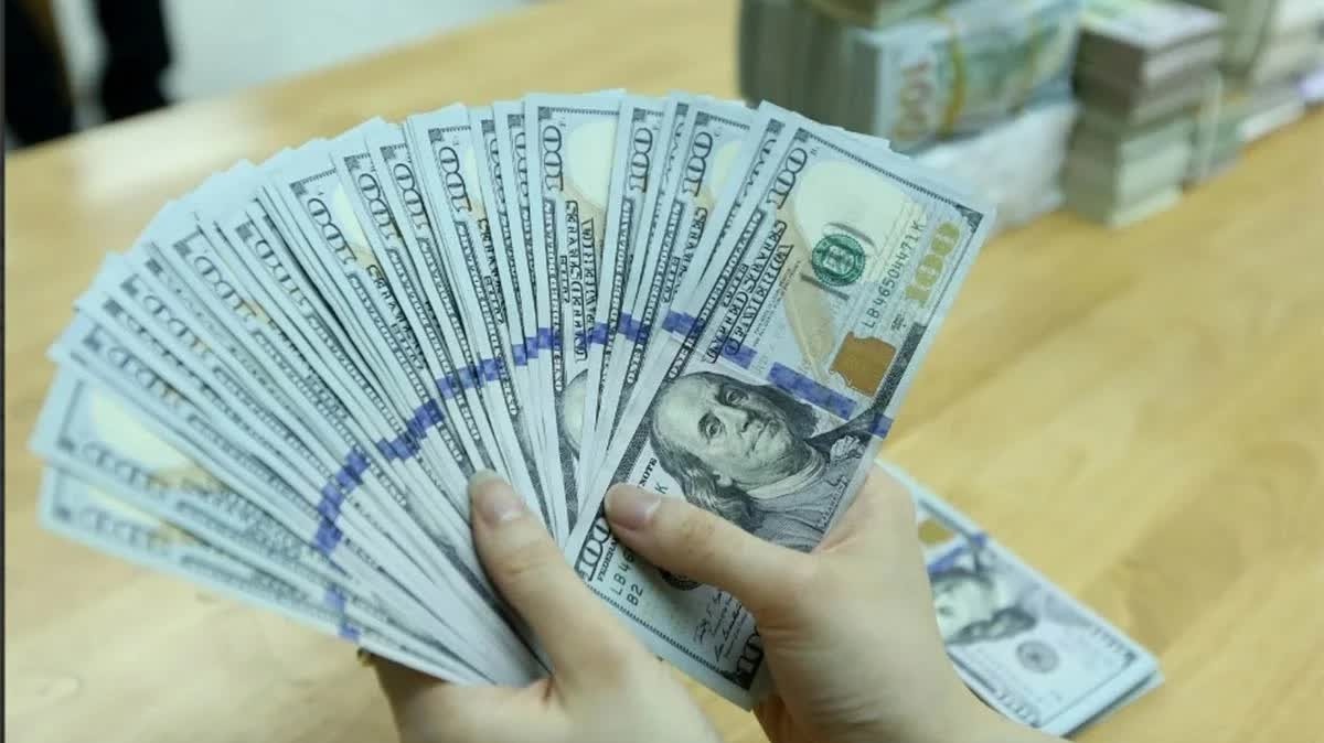 Tỷ giá USD hôm nay (22/12): Giá USD tự do giảm mạnh, ngân hàng đi ngang