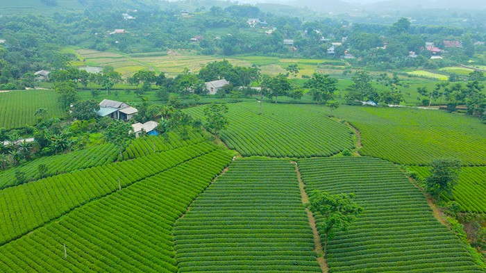 Đề xuất mô hình sản xuất nông nghiệp dựa trên 3 trụ cột