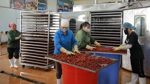 Động lực thúc đẩy phát triển sản phẩm công nghiệp nông thôn