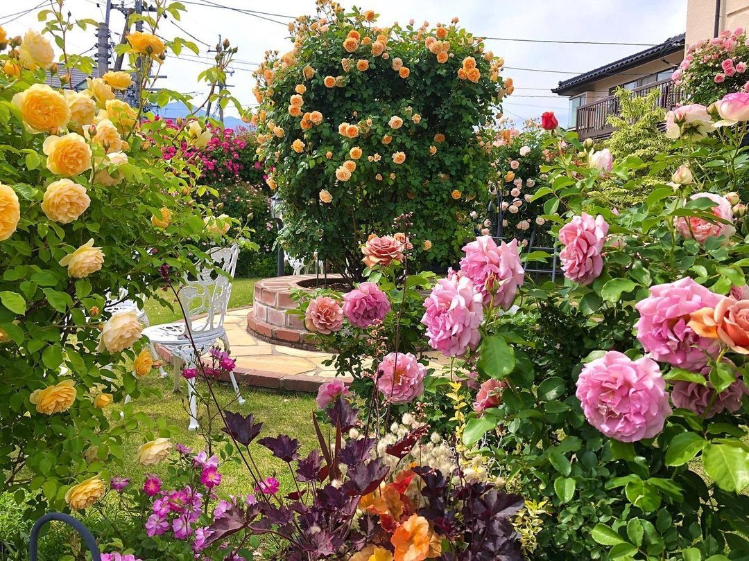 Tử vi vòng quay công nghệ ngày 27/12/2025: Tuổi Dần tránh cãi vã, tuổi Hợi tài chính vững vàng Tử vi vòng quay công nghệ ngày 27/12/2025: Tuổi Dần tránh cãi vã, tuổi Hợi tài chính vững vàng