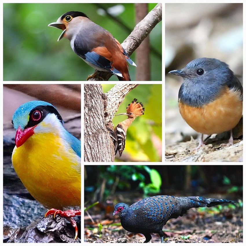 Đỗ Doãn Hoàng - Nhà báo có góc nhìn và kiến giải độc đáo Đỗ Doãn Hoàng - Nhà báo có góc nhìn và kiến giải độc đáo