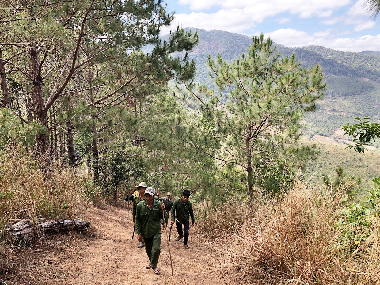 Các tổ nhận khoán tuần tra bảo vệ rừng. Ảnh: Lê Nam