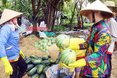 Mưa trái mùa gây nhiều ảnh hưởng đến sản xuất