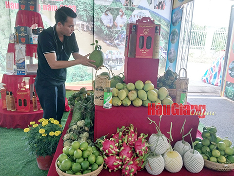 Hậu Giang: Phát huy thế mạnh nông nghiệp Hậu Giang: Phát huy thế mạnh nông nghiệp