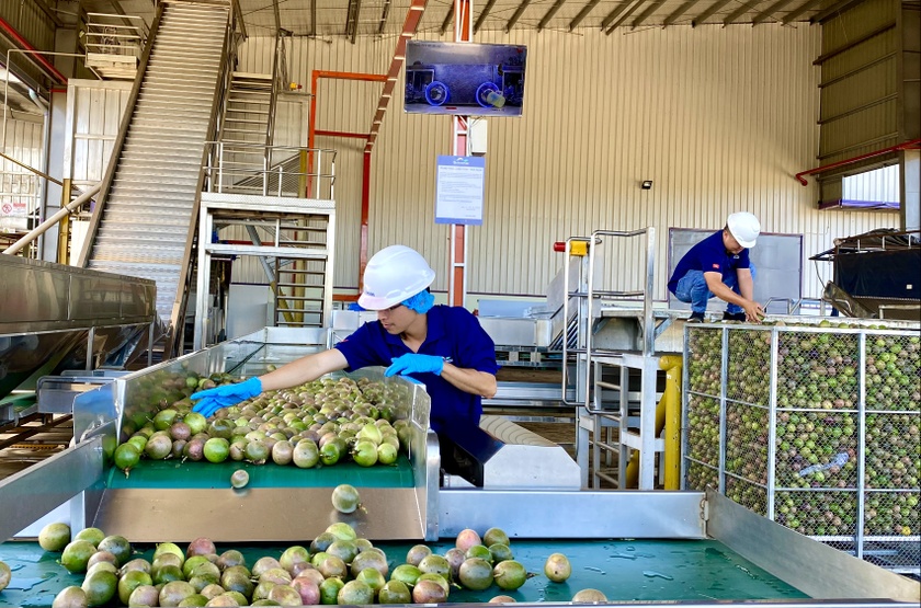 Doanh nghiệp Gia Lai và những kỳ vọng trong năm mới ảnh 2