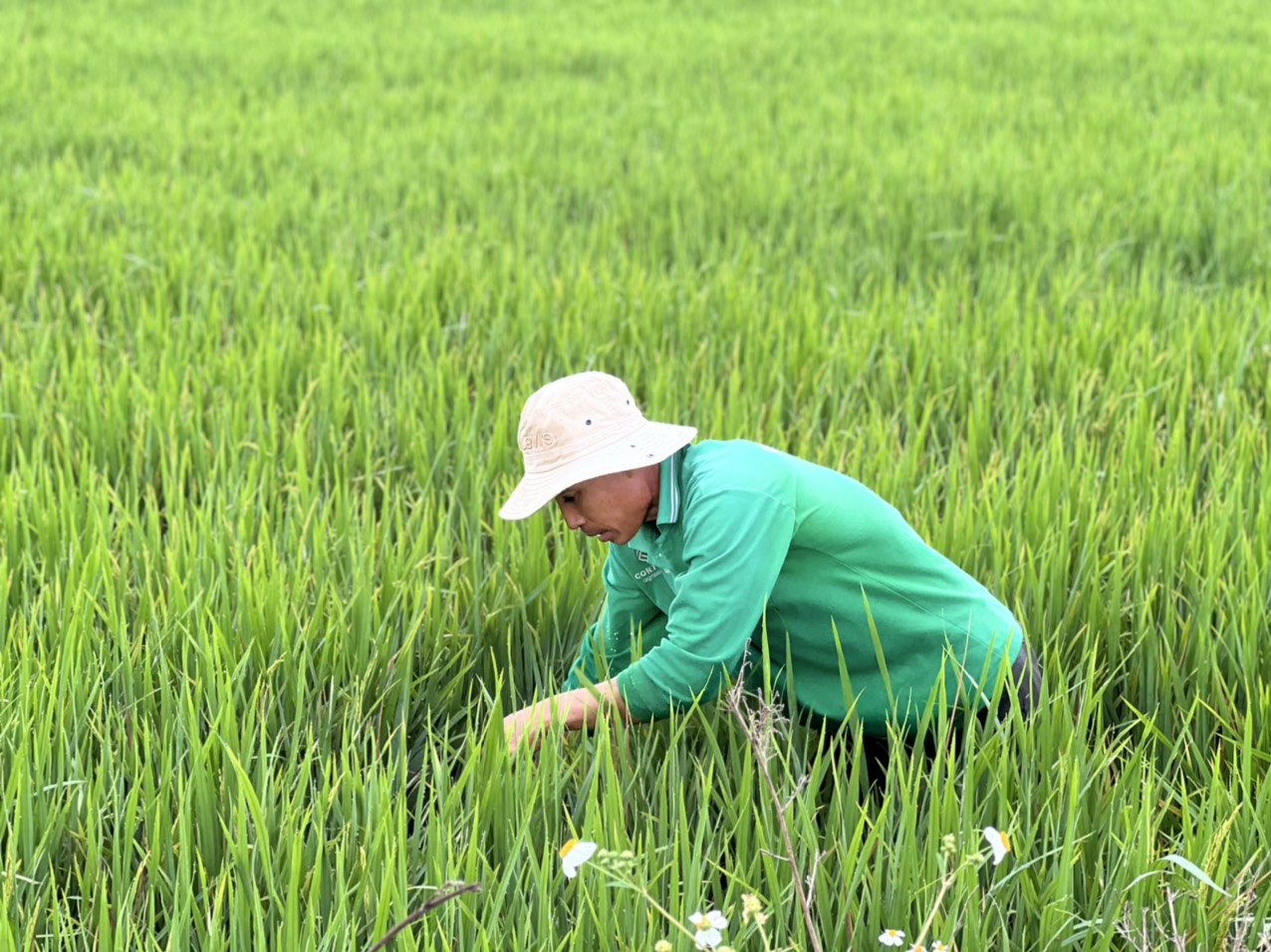 Bà Rịa - Vũng Tàu: Đầu năm xuống đồng, mở biển Bà Rịa - Vũng Tàu: Đầu năm xuống đồng, mở biển
