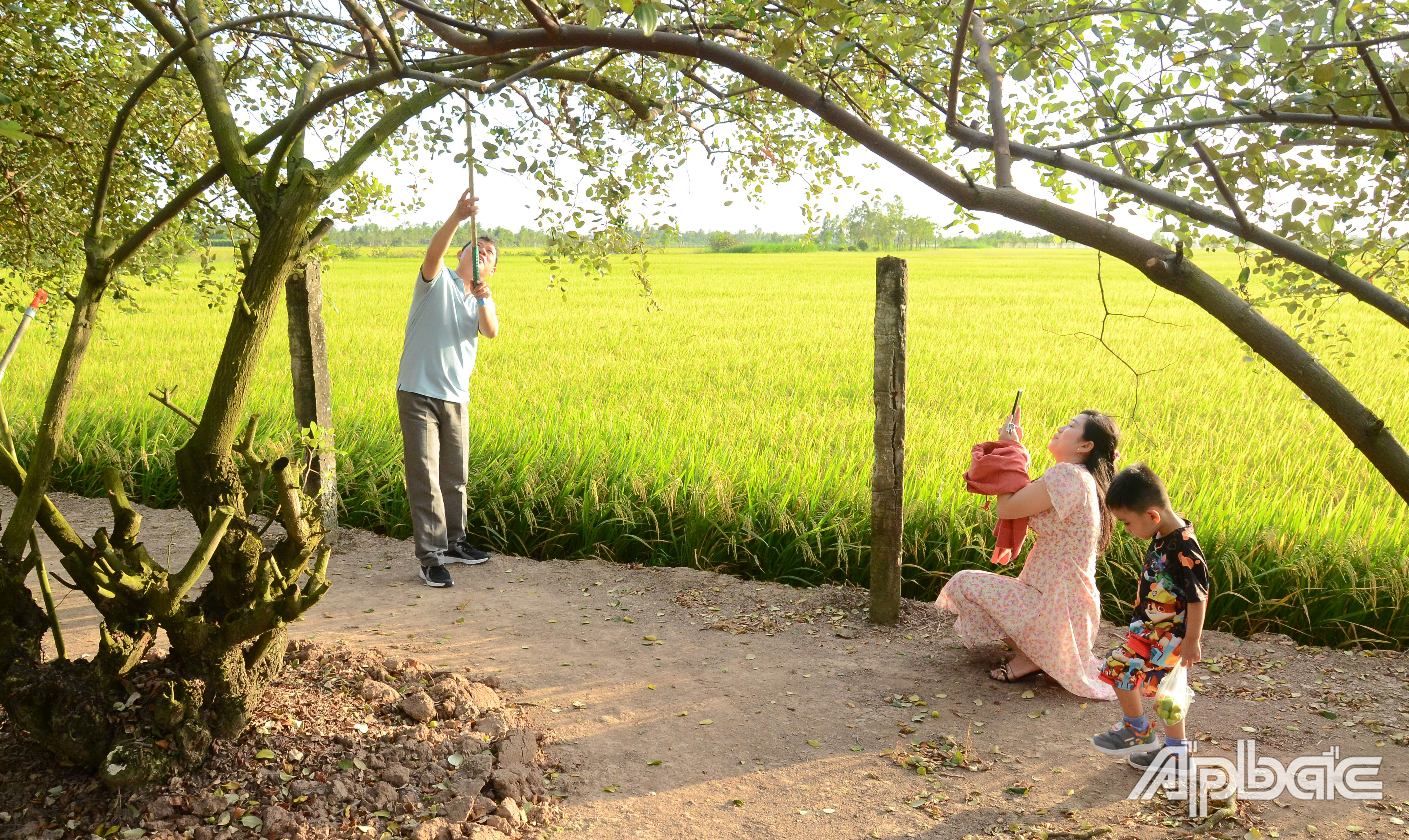 Tiền Giang: Du khách đến tăng cao