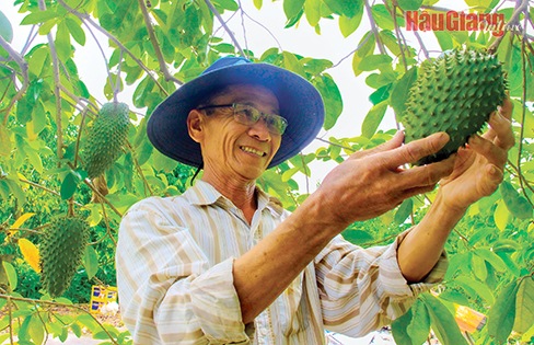 Sức sống mới ở vùng giáp ranh