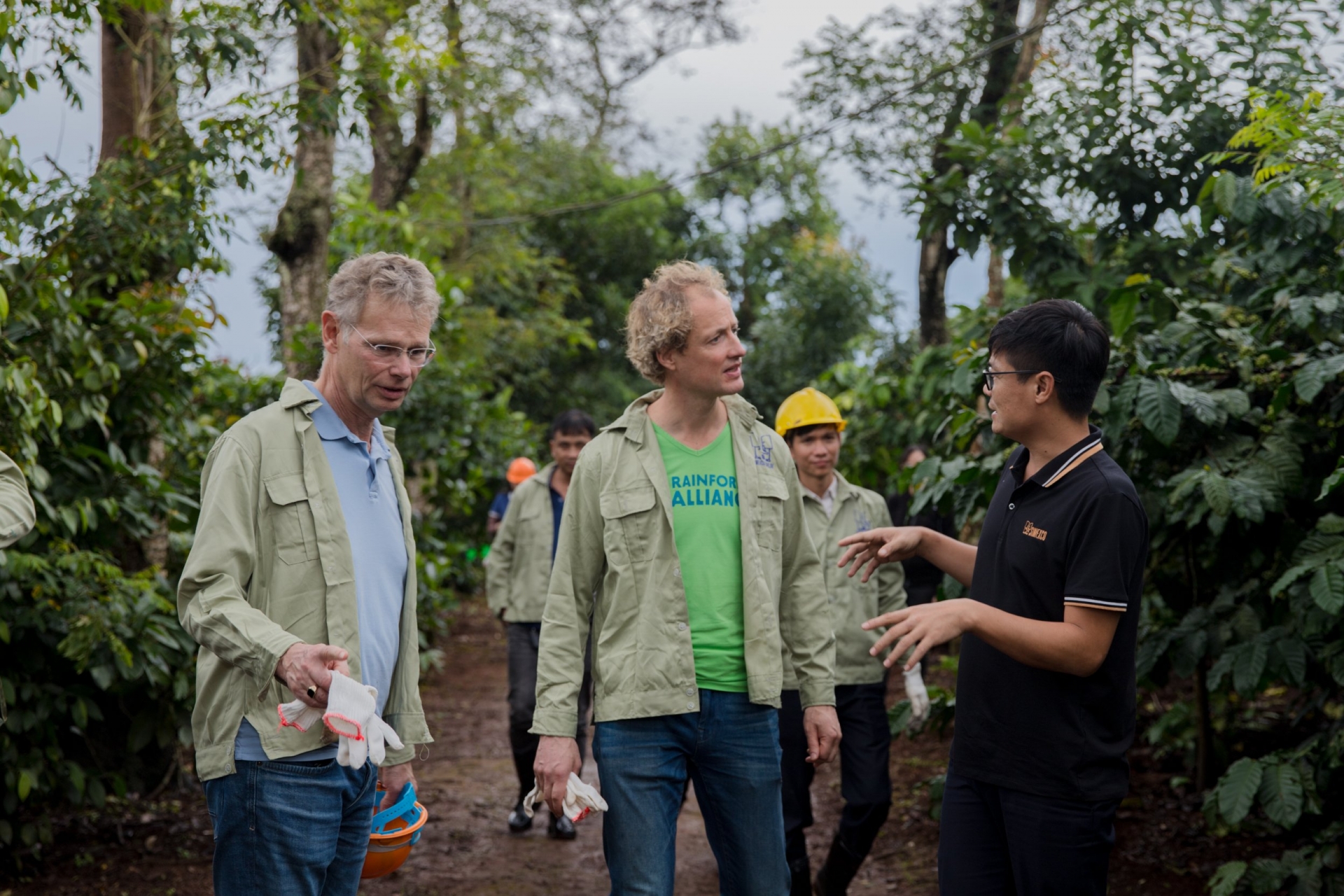 Đắk Lắk: Khơi dậy giá trị đặc biệt của cà phê Robusta