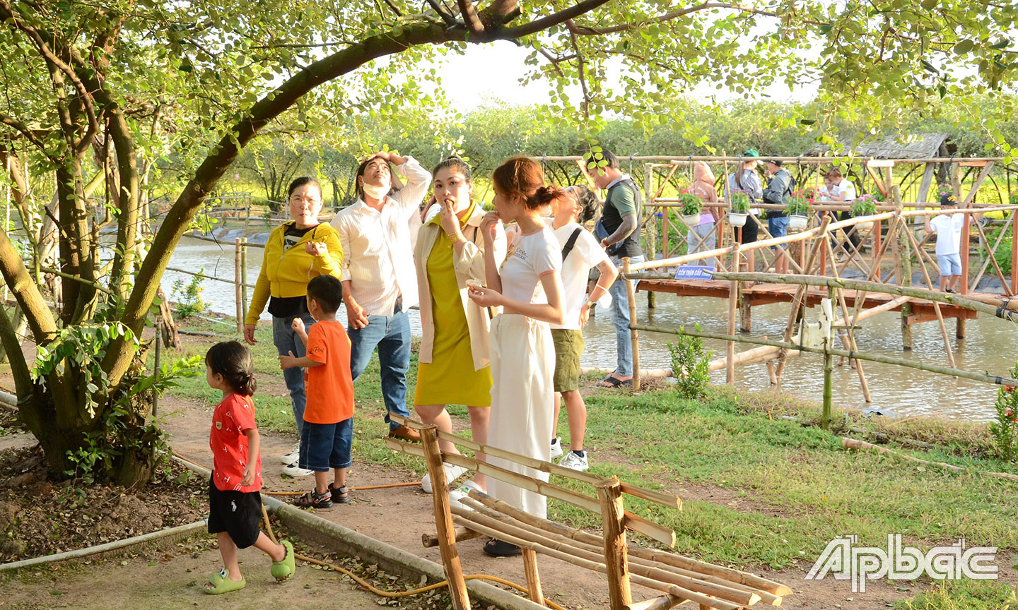 Tiền Giang: Du khách đến Tiền Giang tăng mạnh