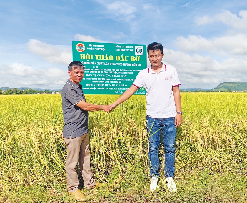 Khẳng định vị thế hạt gạo chất lượng cao vùng Đông Nam tỉnh  ảnh 1