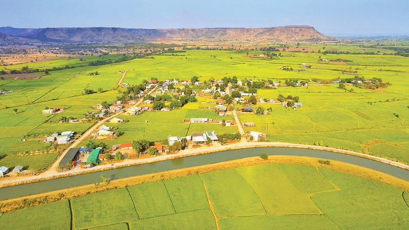 Khẳng định vị thế hạt gạo chất lượng cao vùng Đông Nam tỉnh  ảnh 2