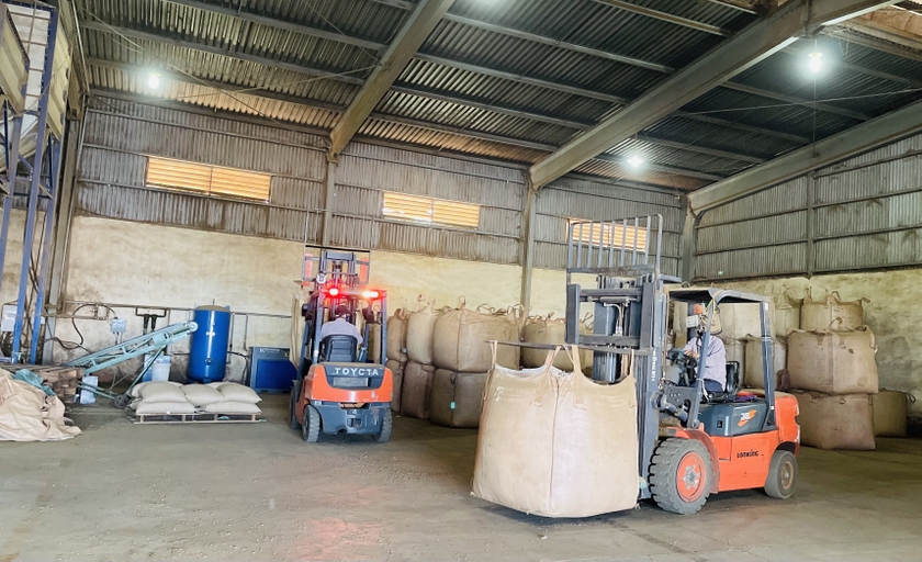 Các sản phẩm nông nghiệp chủ lực đều gắn với các nhà máy lớn trên địa bàn tỉnh. Ảnh: V.T