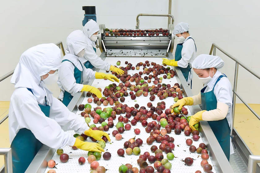 Công nghiệp chế biến đóng vai trò chủ đạo, tạo ra giá trị gia tăng lớn nhất cho khu vực công nghiệp. Ảnh: Đ.T