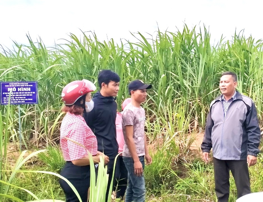Trung tâm Dịch vụ nông nghiệp huyện Kbang hỗ trợ một số hộ dân xã Đak Hlơ triển khai mô hình tưới tiết kiệm nước trên cây mía, giúp nâng cao năng suất. Ảnh: M.P