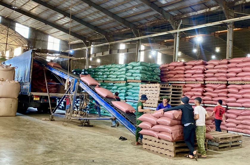 Gia Lai đang triển khai nhiều giải pháp để &amp;quot;tiếp sức&amp;quot; cho doanh nghiệp hoạt động ổn định. Ảnh: Hà Duy