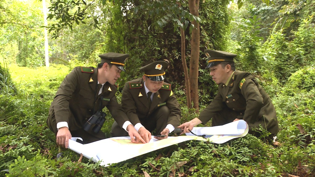 Quảng Ninh: Quan tâm đảm bảo an ninh nguồn nước, môi trường sinh thái Quảng Ninh: Quan tâm đảm bảo an ninh nguồn nước, môi trường sinh thái