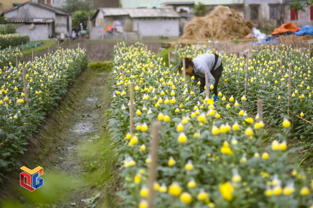 Quảng Ninh: Khẳng định thương hiệu sản phẩm Quảng Ninh: Khẳng định thương hiệu sản phẩm