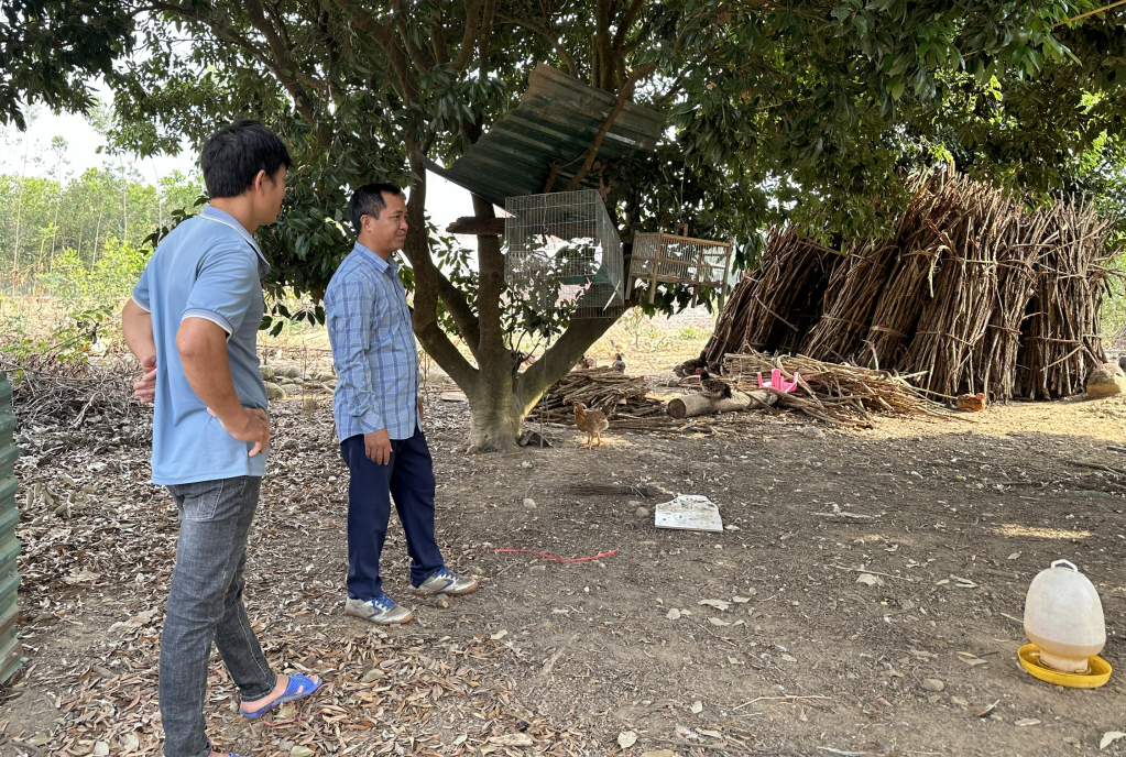 Quảng Ninh: Động lực để hợp tác xã phát triển bền vững Quảng Ninh: Động lực để hợp tác xã phát triển bền vững